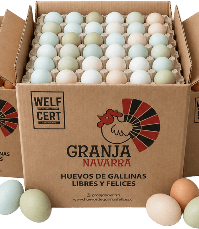 Caja Granja Navarra abierta con huevos de color y el sello Welfcert impreso