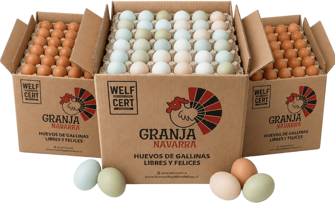 Tres cajas Granja Navarra abiertas: huevos de color azul, verde y crema al centro, huevos café a los costados